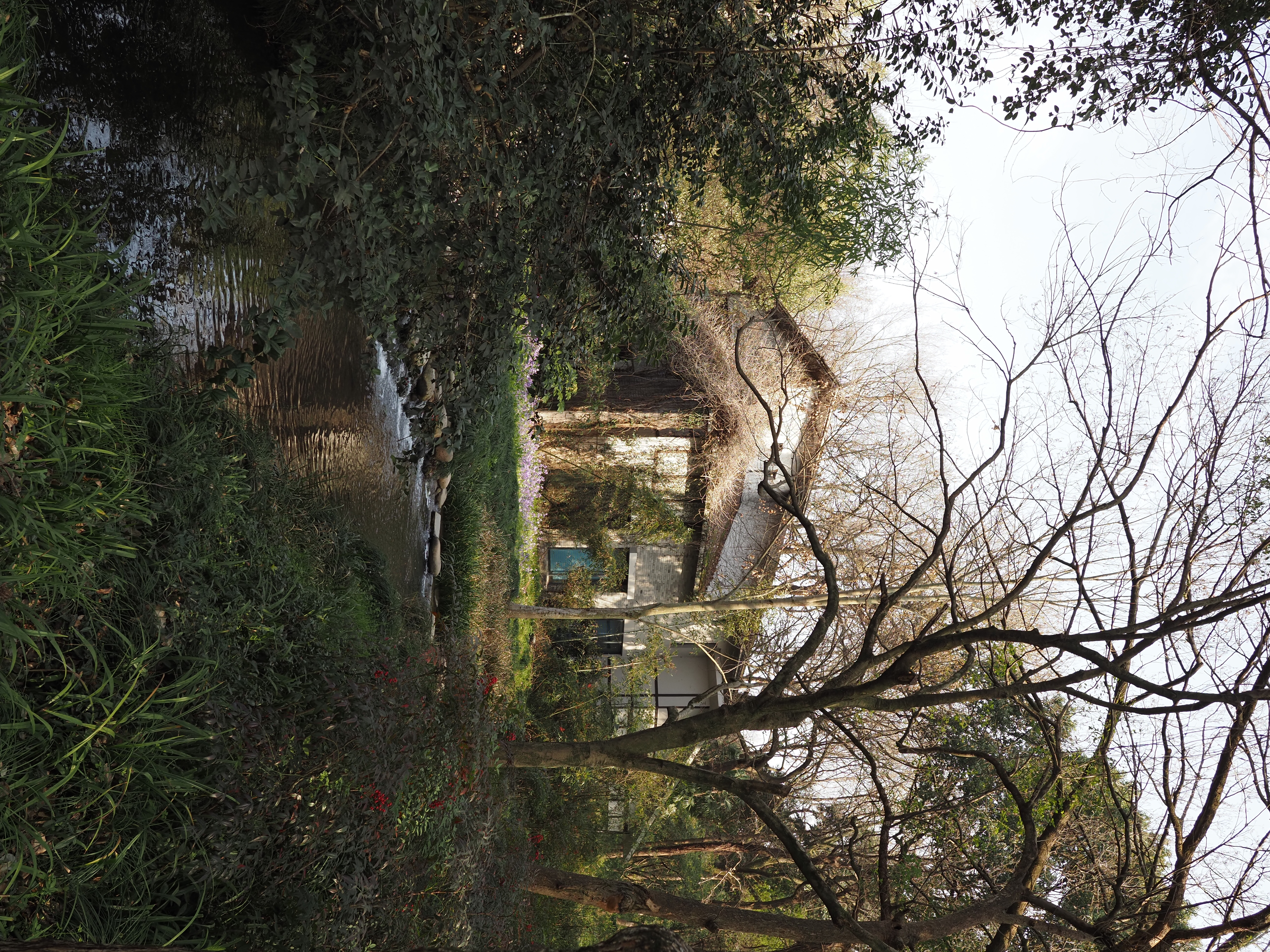 Everyday photograph 03