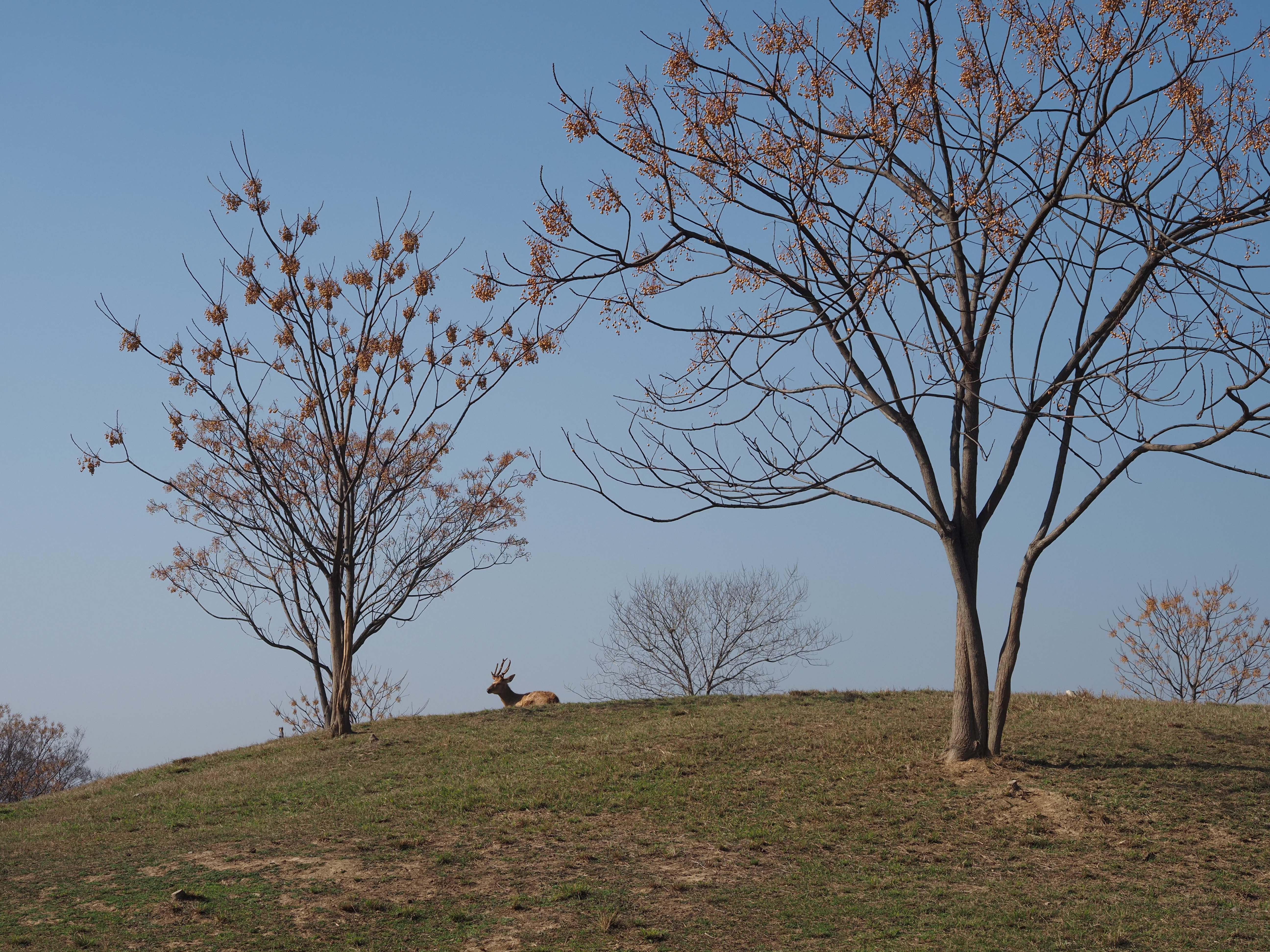 Everyday photograph 12