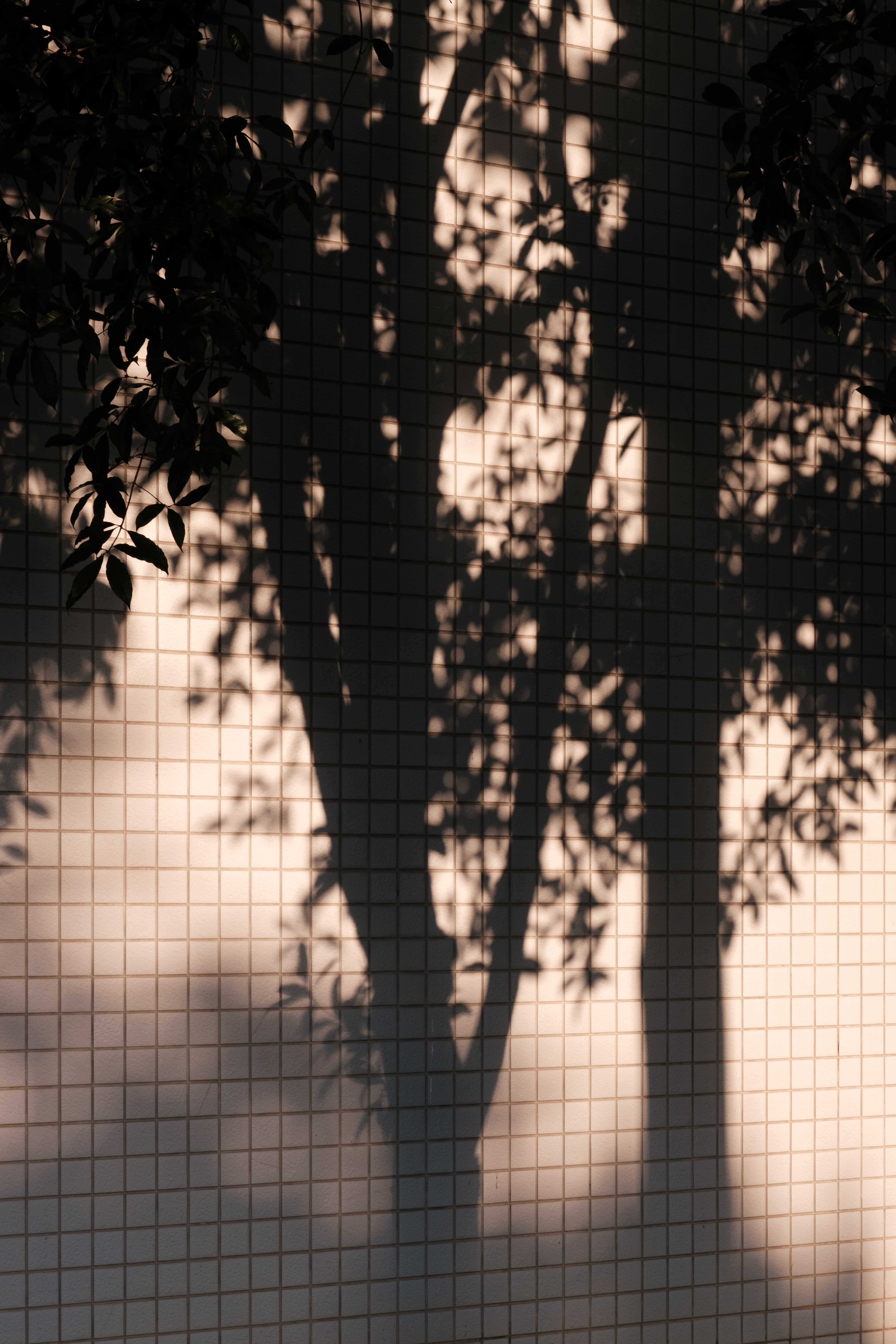 Everyday photograph 13