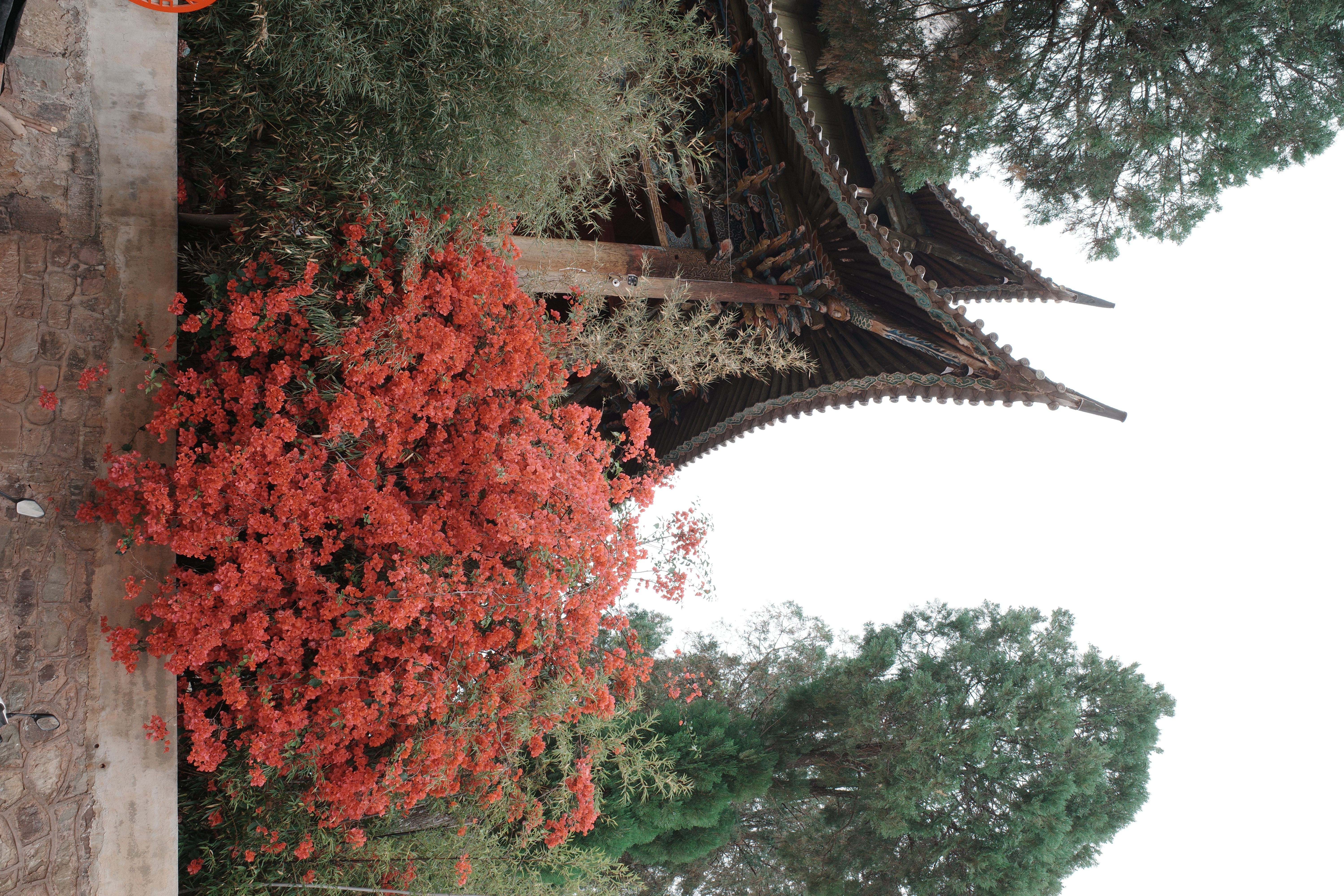 Yunnan village photograph 01