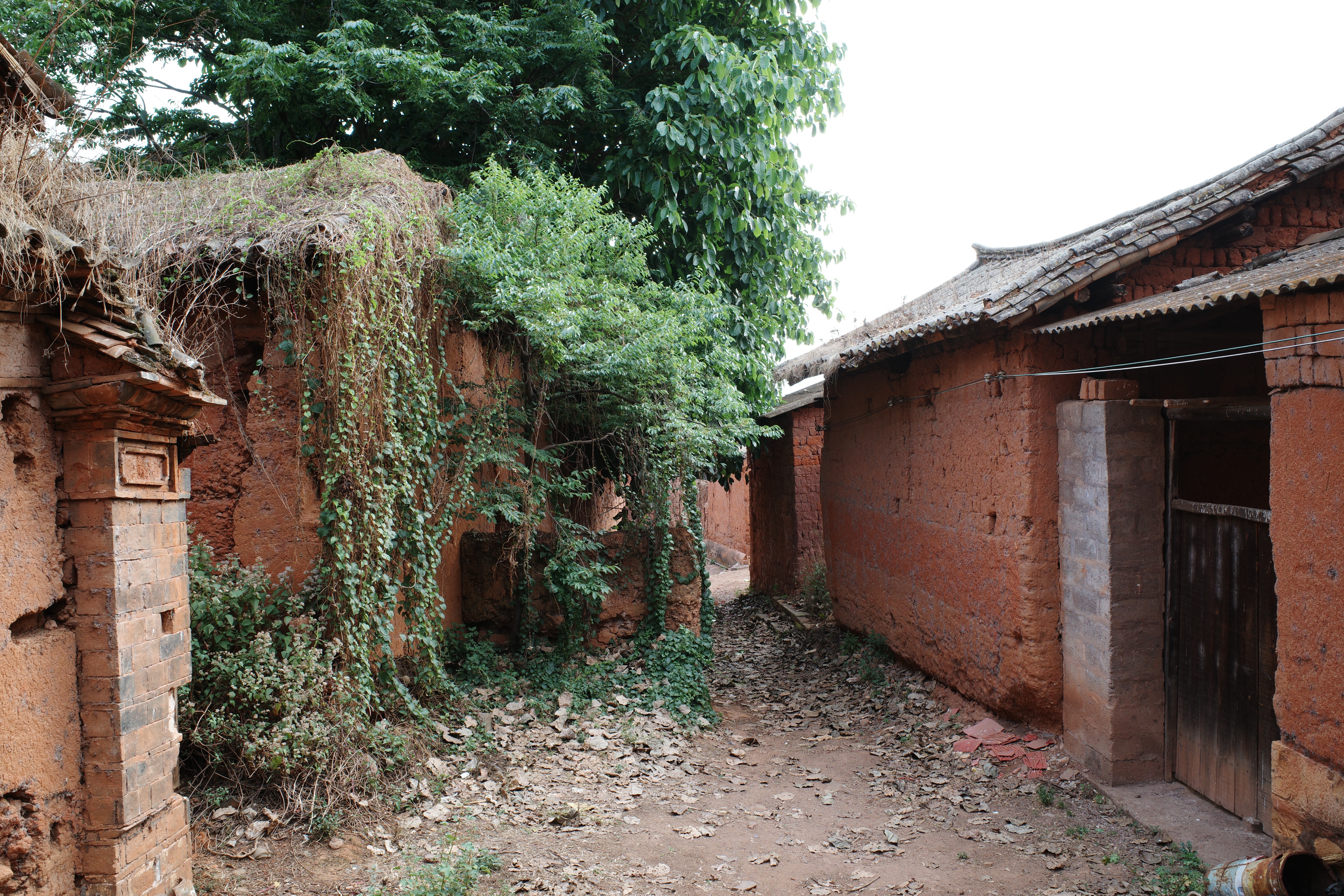 Yunnan village photograph 09
