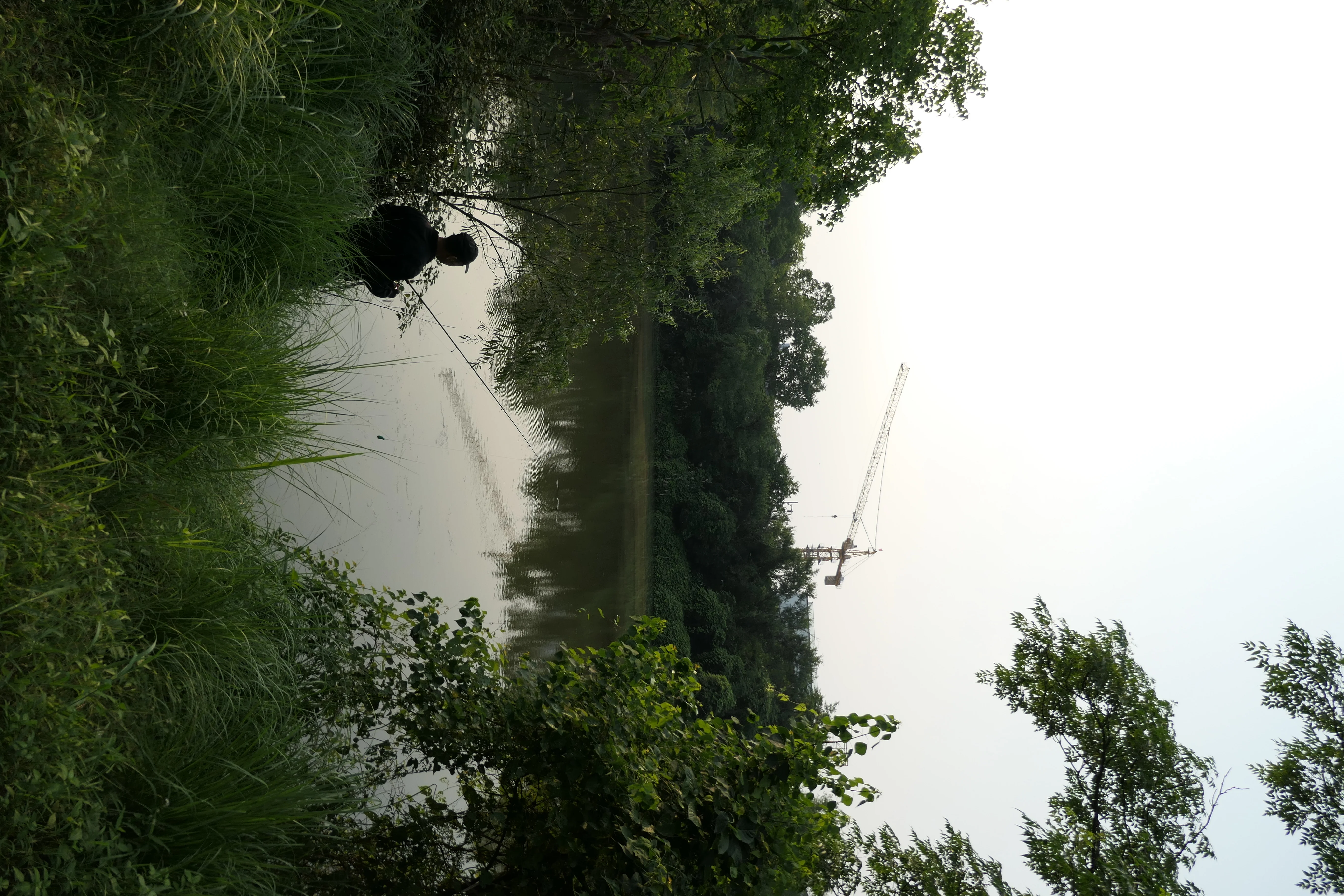 Everyday photograph 05