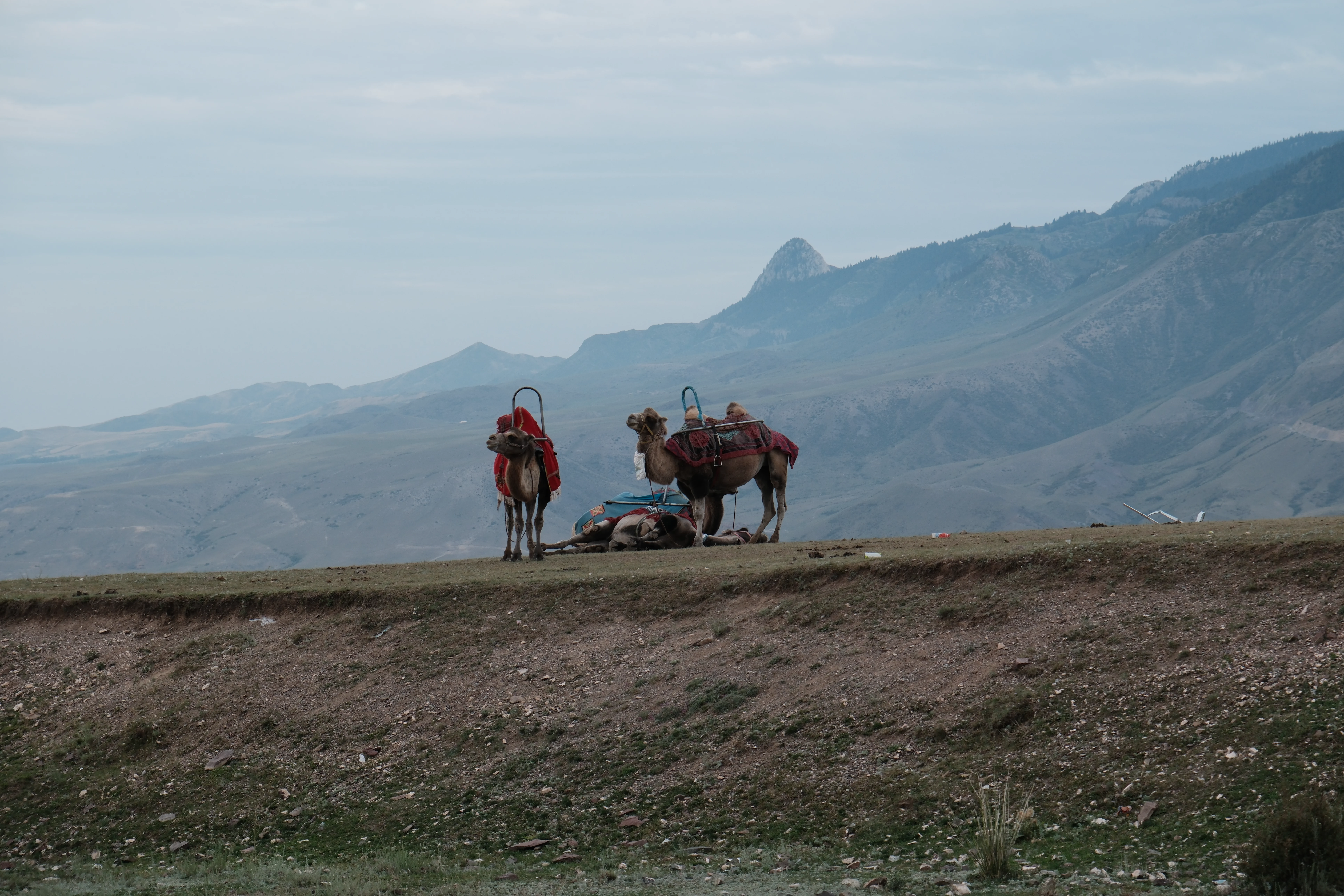 Xinjiang photograph 01
