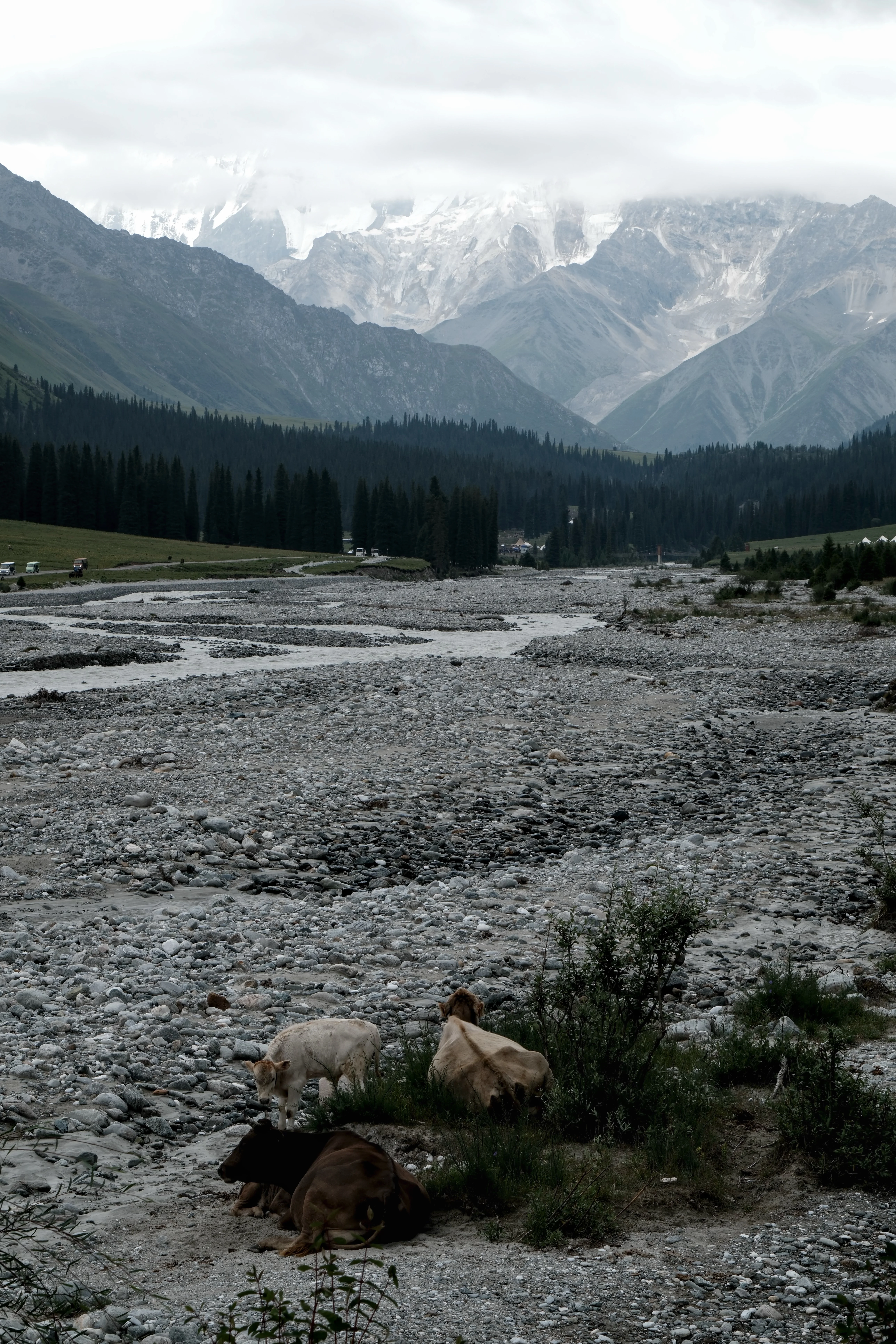 Xinjiang photograph 05