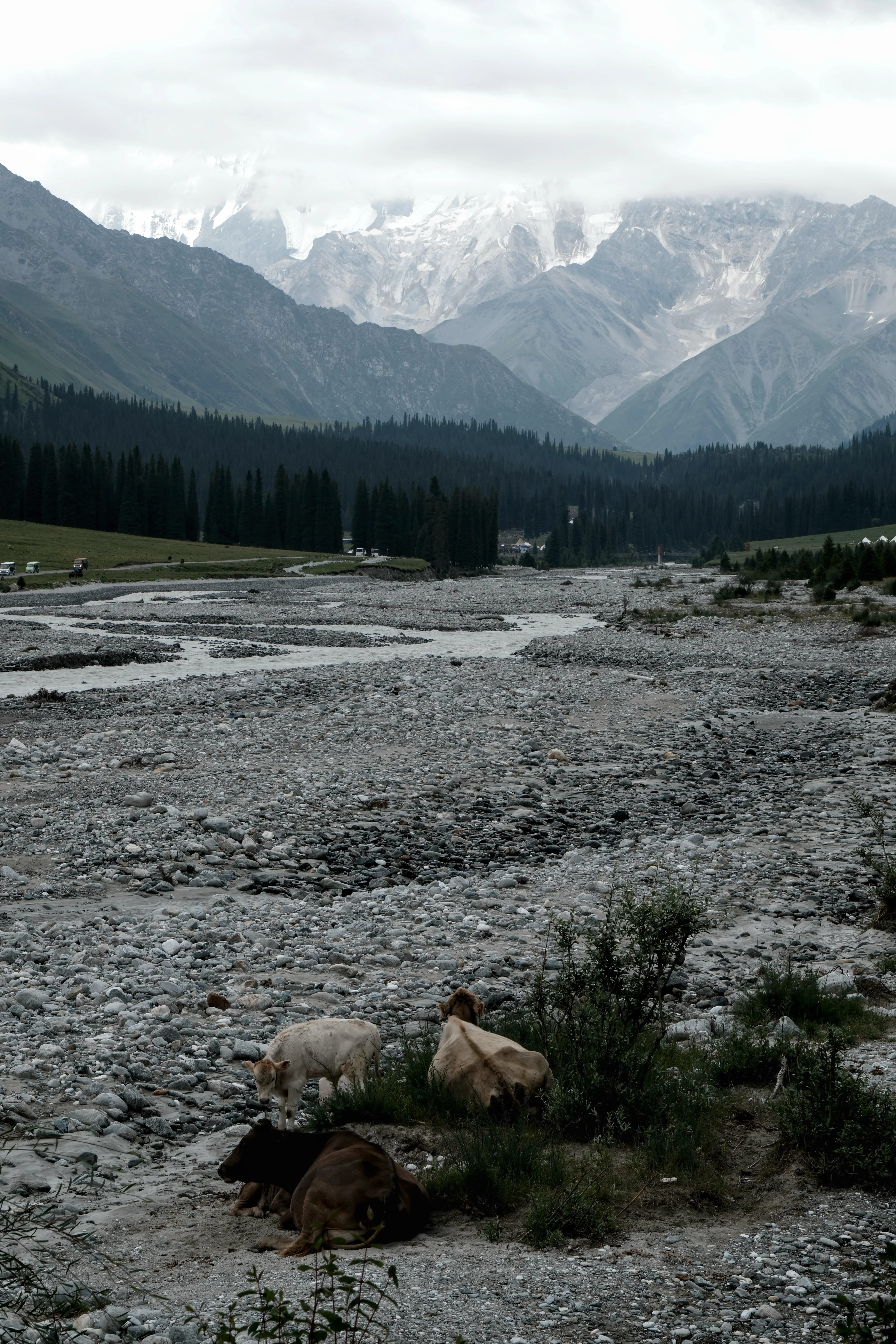 Xinjiang photograph 05