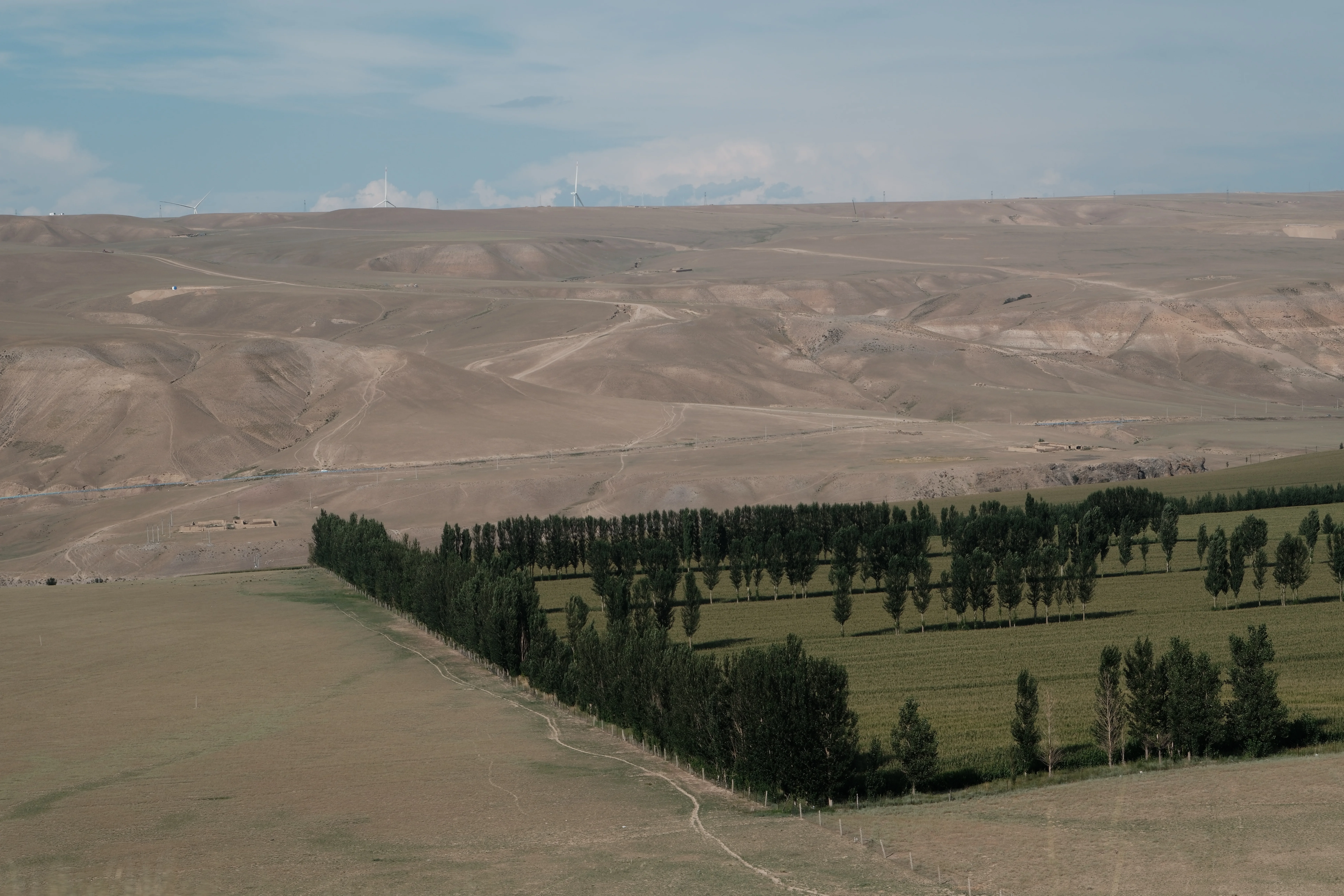 Xinjiang photograph 06