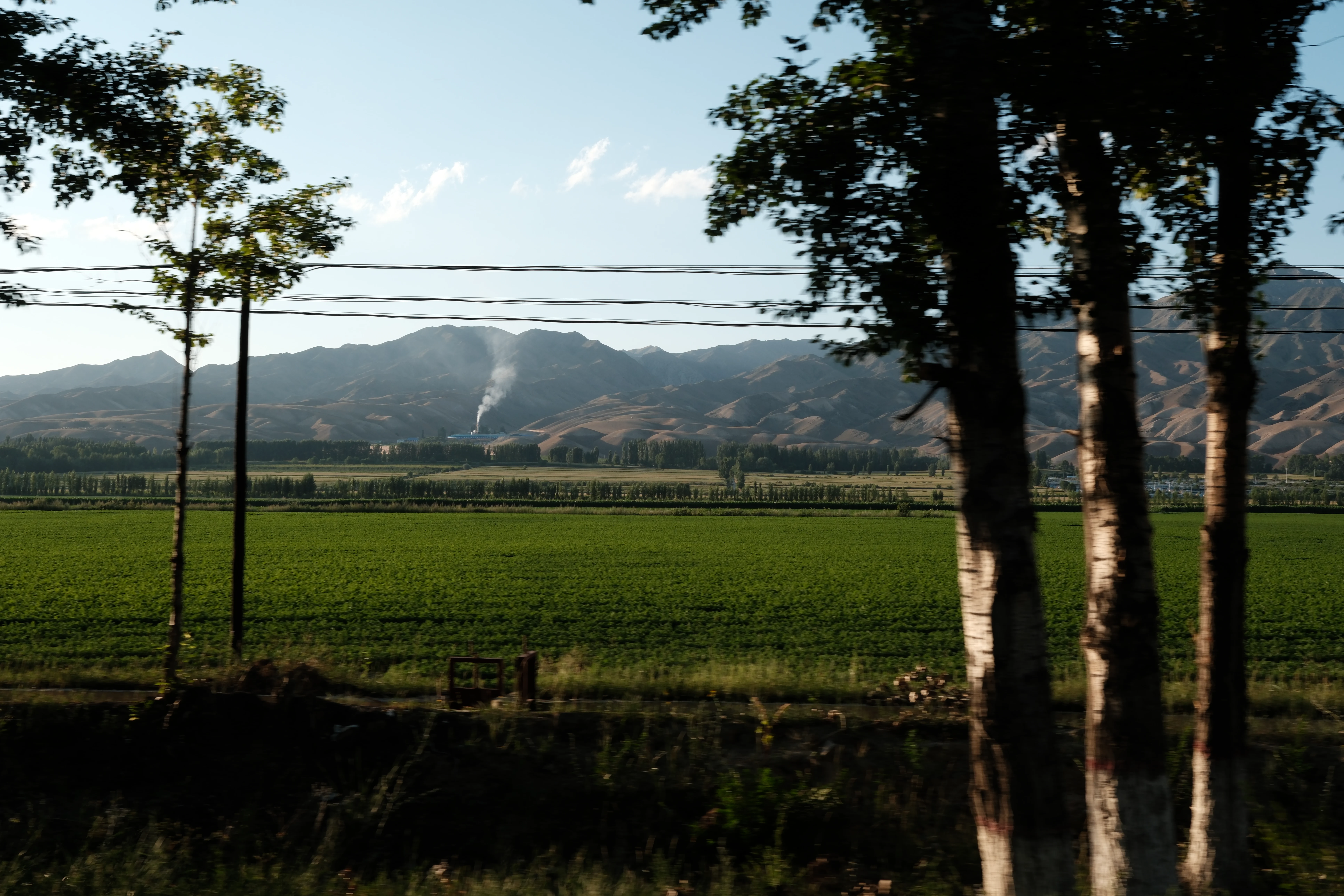 Xinjiang photograph 08
