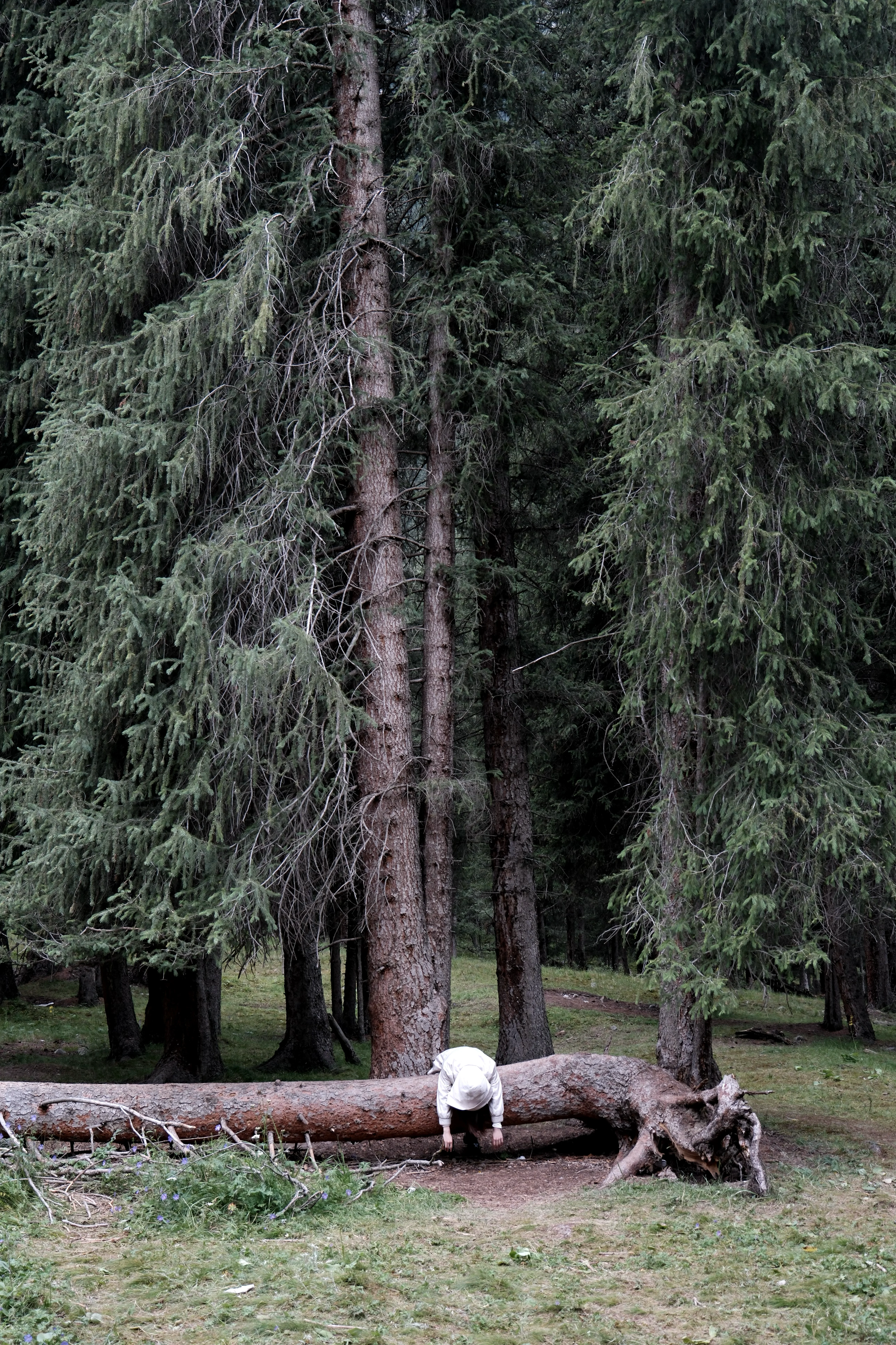Xinjiang photograph 09