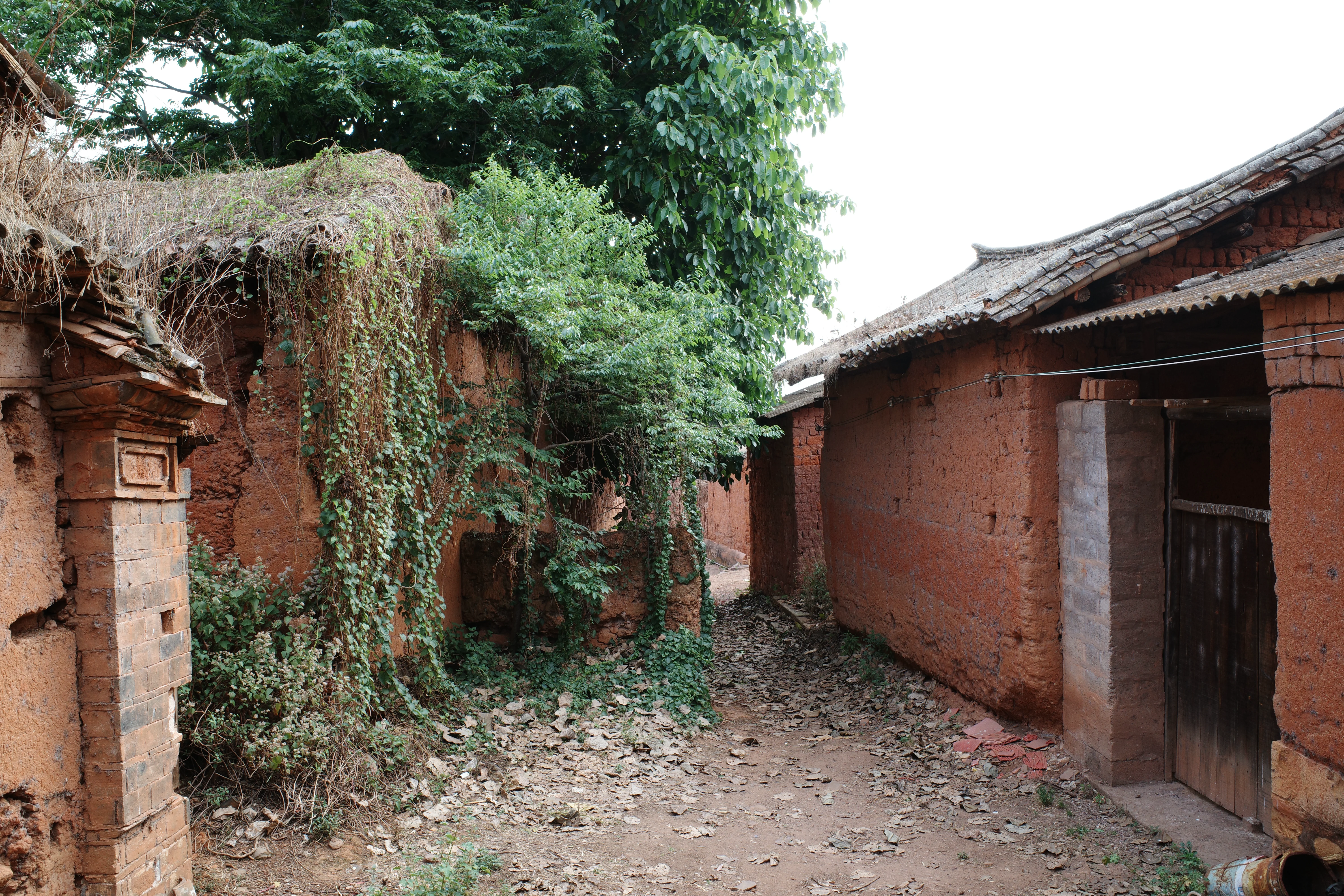 Yunnan village photograph 09
