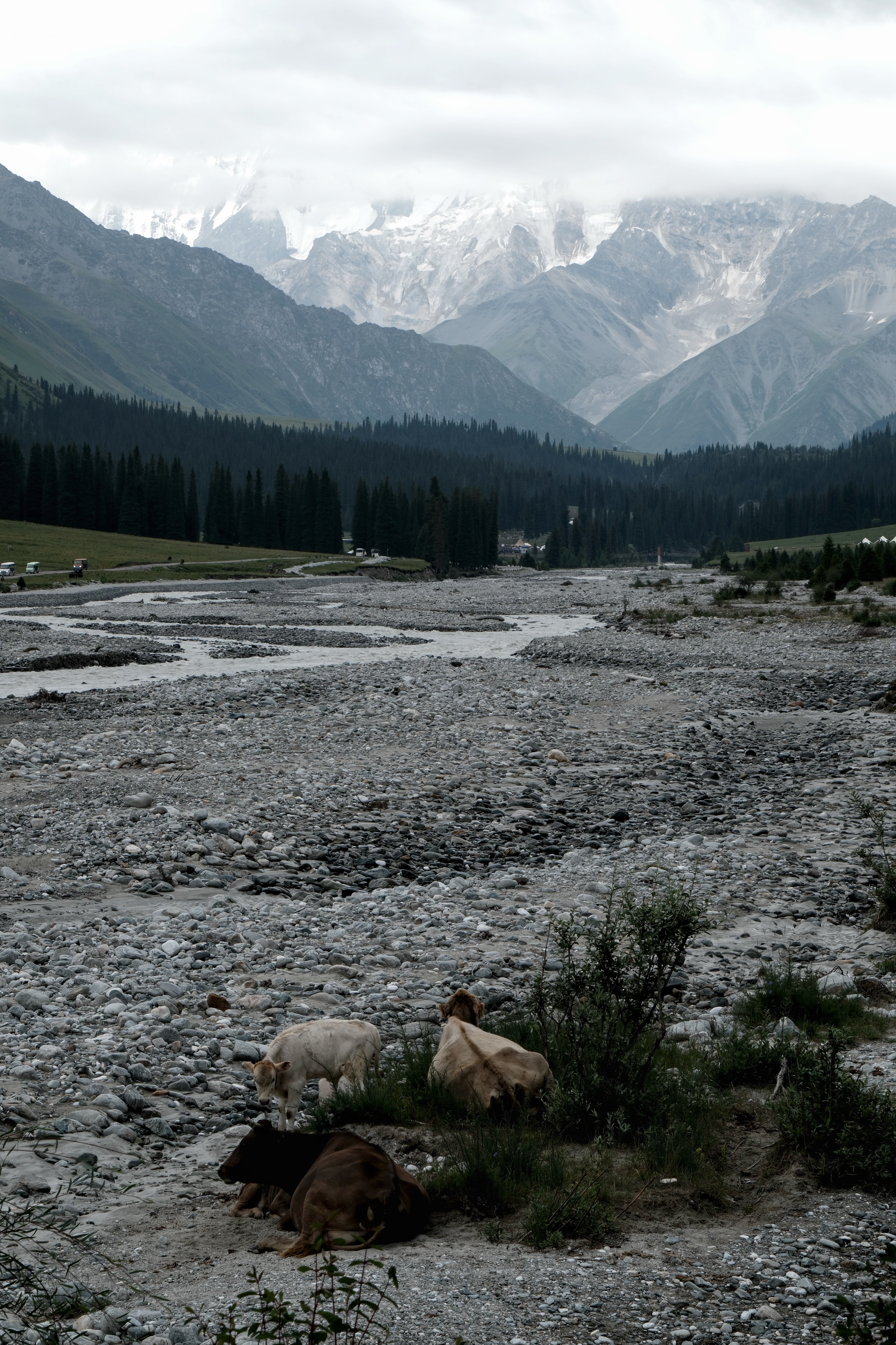 Xinjiang photograph 05